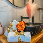 Aura Luxury