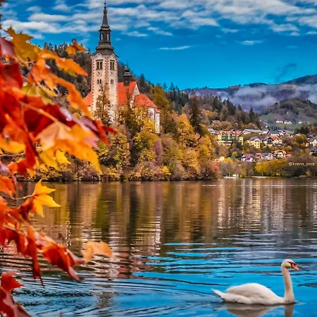 Aura Luxury
