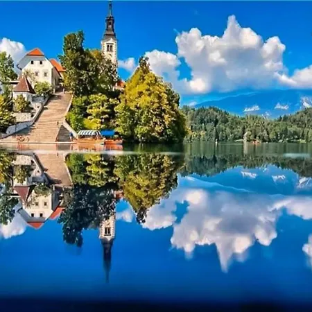 Aura Luxury Apartman *